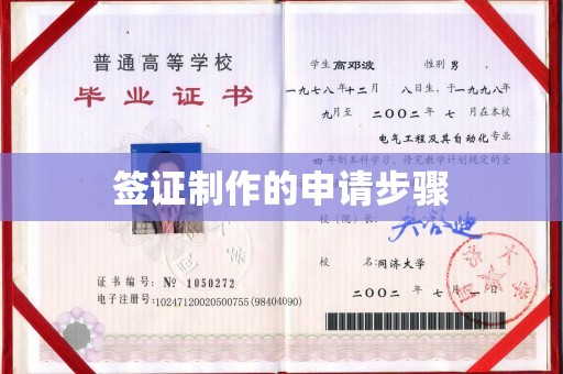 滕州签证制作的申请步骤