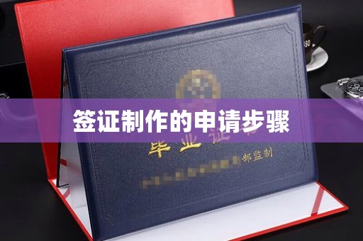 滕州签证制作的申请步骤