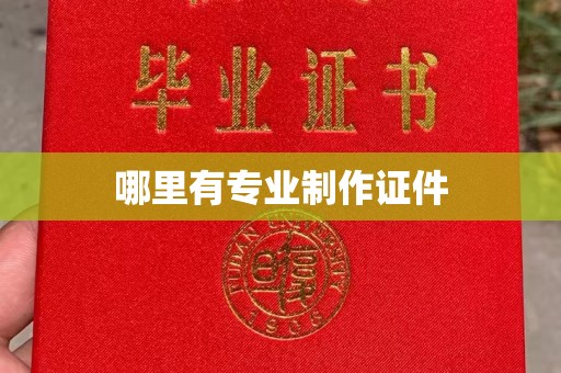 滕州哪里有专业制作证件